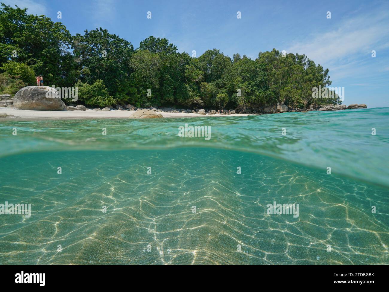 Boulder and trees on the beach with sand underwater, Atlantic coast of Spain, split view half over and under water surface, Galicia, Rias Baixas Stock Photo