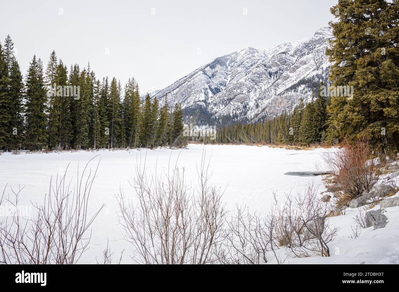 Snow and river in a forest snow mountain winter landscape hi-res stock  photography and images - Alamy, image size:1300x951