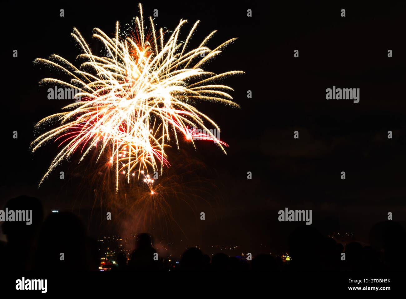 New year clebration firework in a park Stock Photo