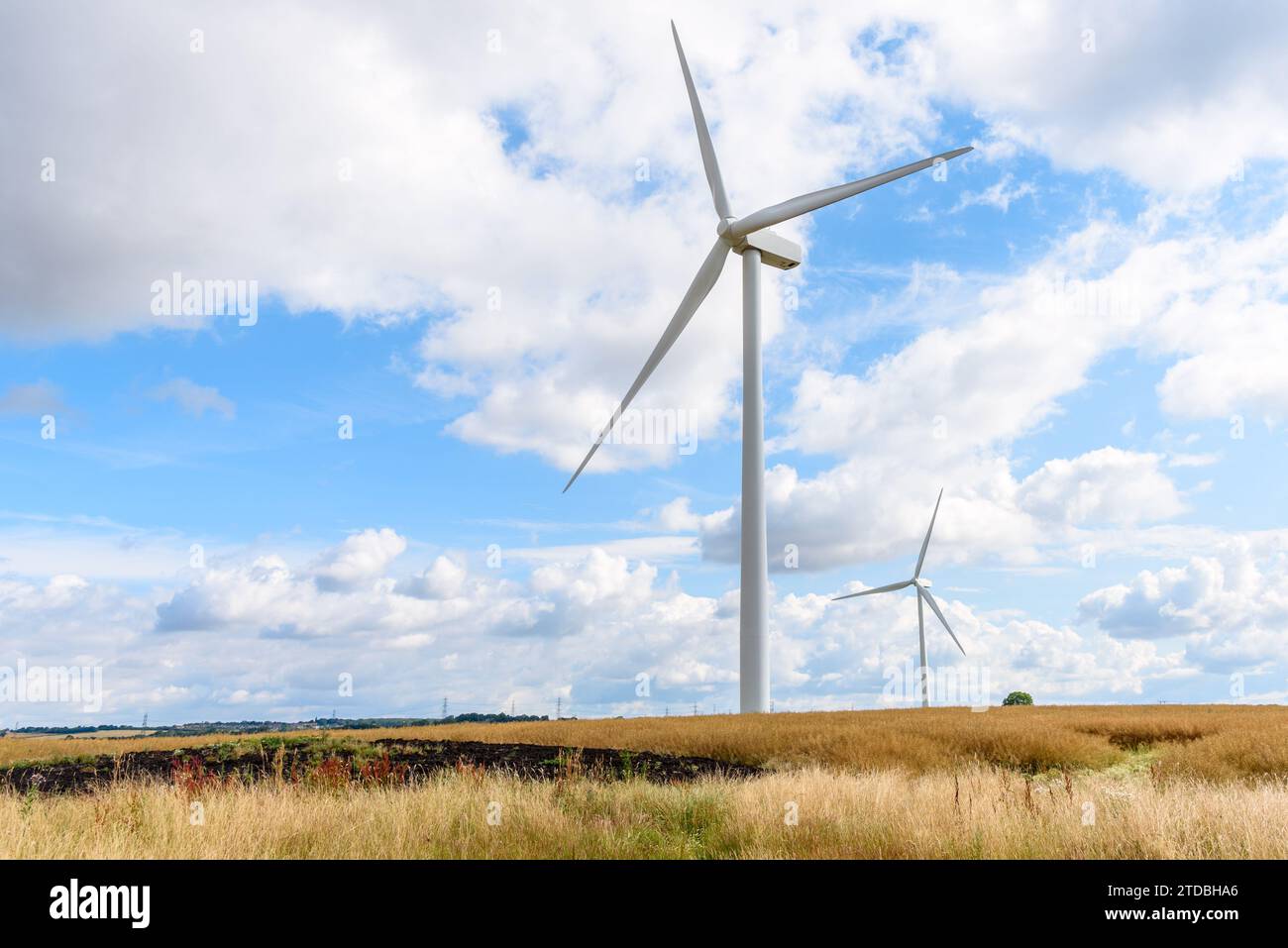 Wind turbines in a cultivated field in the countryside of England on a sunny summer day Stock Photo