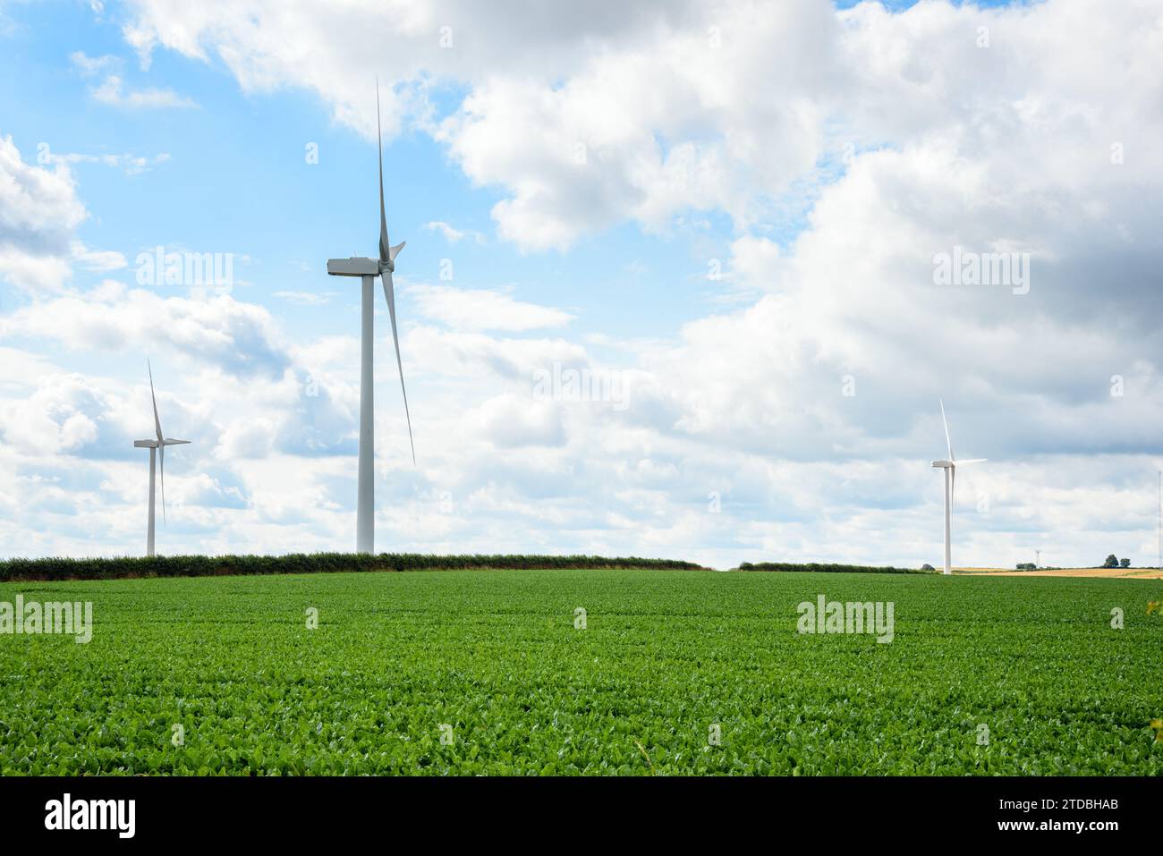 Wind farm in a rural landscape in Englad on a partly cloudy summer day Stock Photo