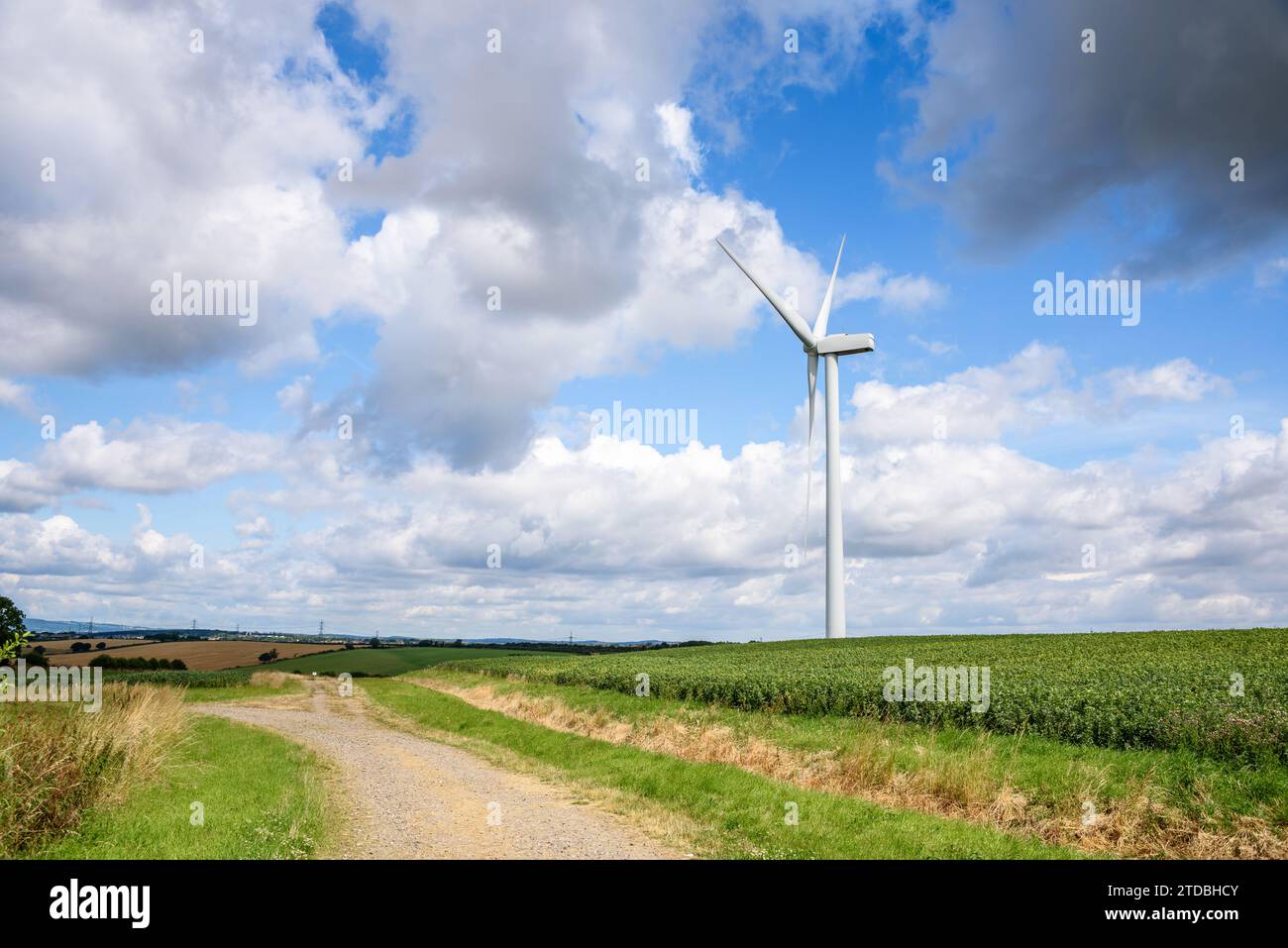 Wind turbine in a cultivated filed along a narrow gravel back road in the English countryside on a sunny summer day Stock Photo