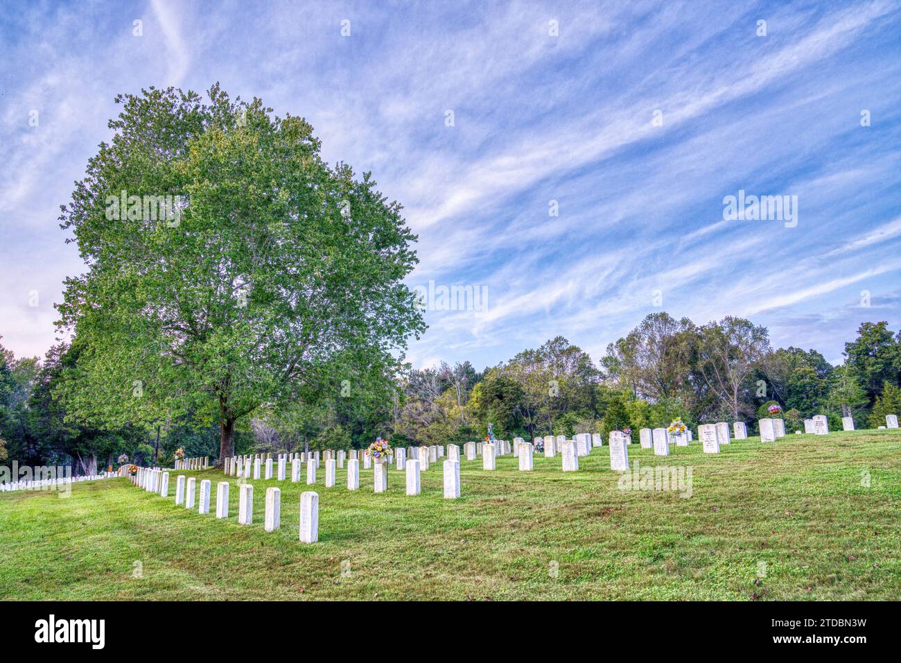 Rows of white markered military graves Fort Donelson National Cemetery in Dover, Tennessee. Stock Photo