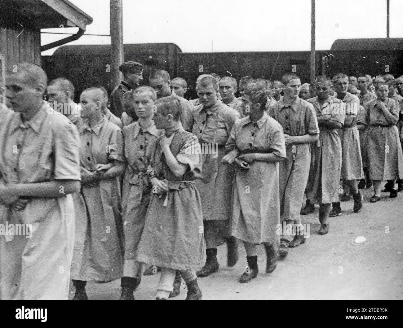 12/31/1939. A group of prisoners who have just been shaved head to the