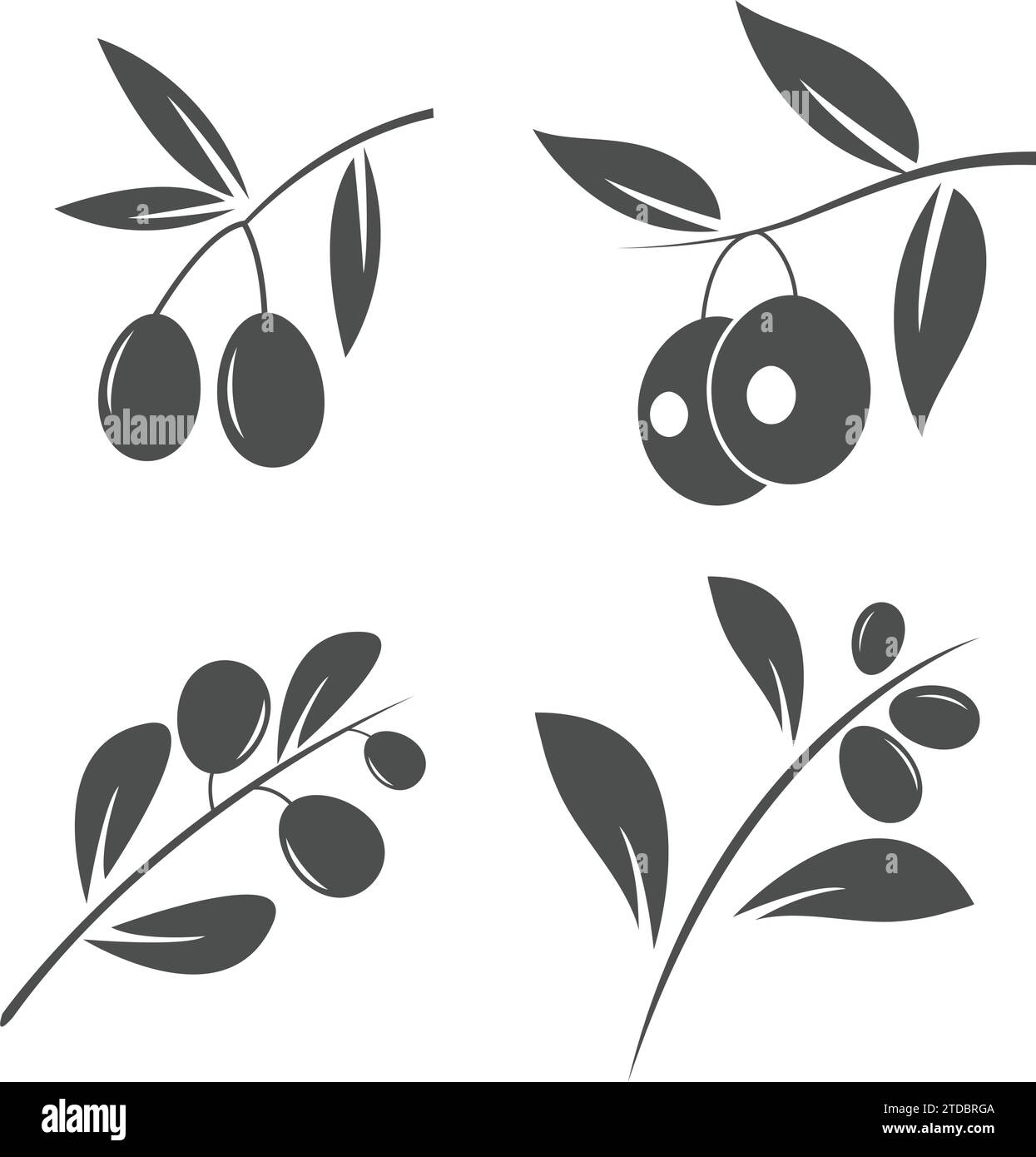 olive logo template vector design Stock Vector