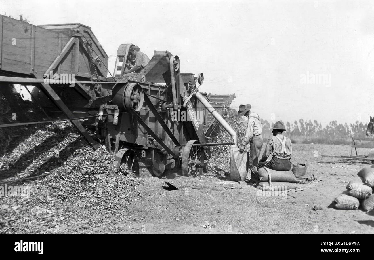 California. June 1918. An admirable exploitation. The mechanical threshing of sweet peas on the Spanish Juan Bodger's hacienda. Credit: Album / Archivo ABC / Riva Stock Photo