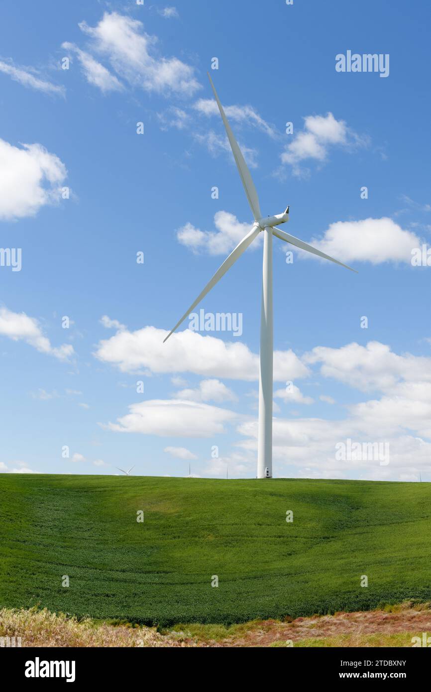 Wind Turbind in green field under blue sky with a few white clouds ...