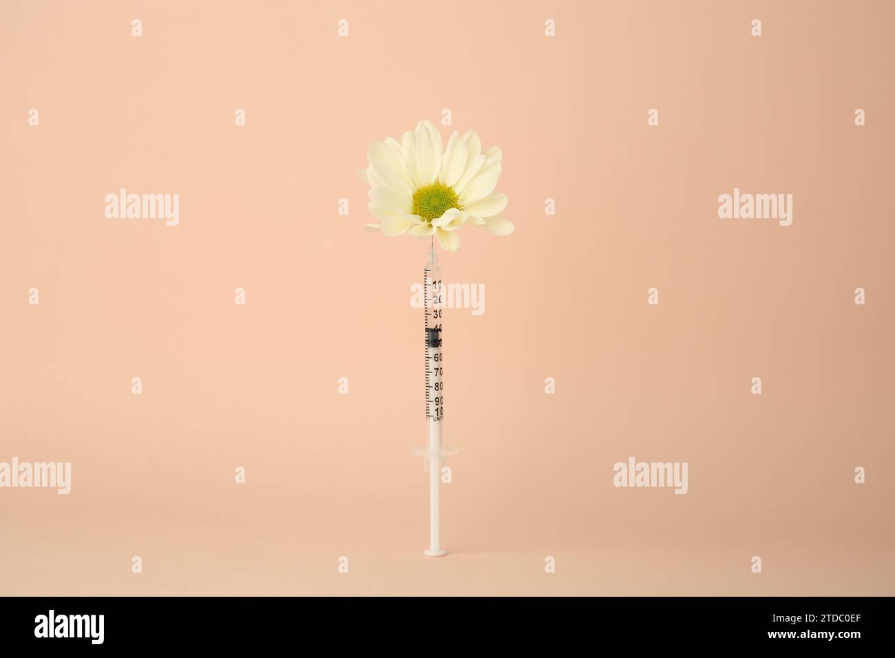 Insulin flower hi-res stock photography and images - Alamy