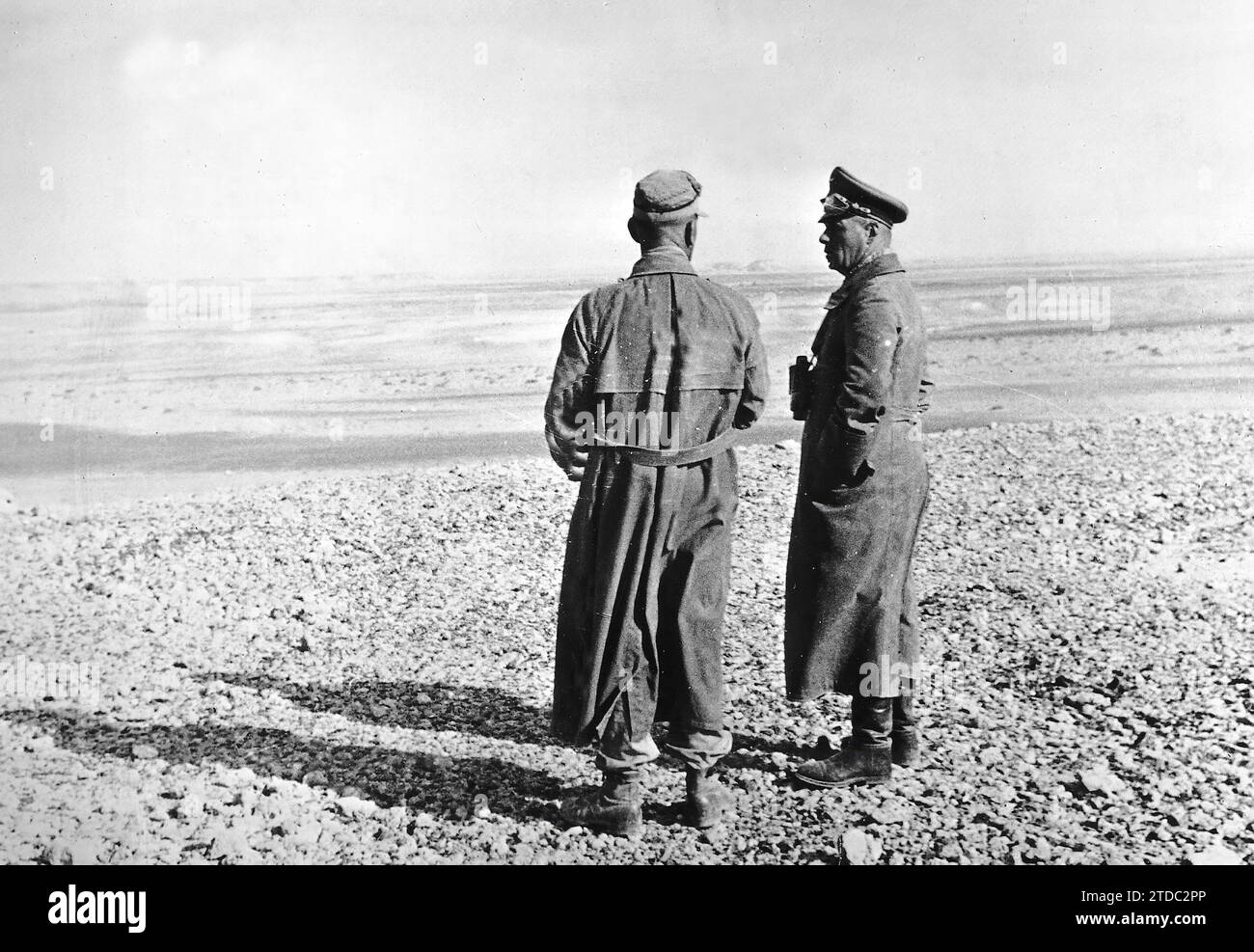 01/01/1942. Marshal Erwin Rommel led the operations of German troops in the North African desert. Credit: Album / Archivo ABC Stock Photo