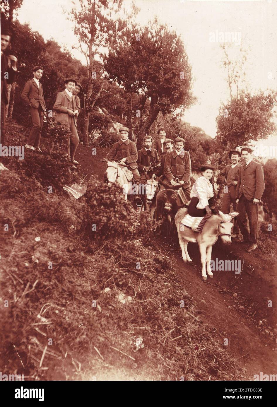 12/31/1905. To Paris on a Donkey. Mondragon. Arrival of the Editors of 'España Nueva' and their Companion 'Mimi'. Credit: Album / Archivo ABC Stock Photo