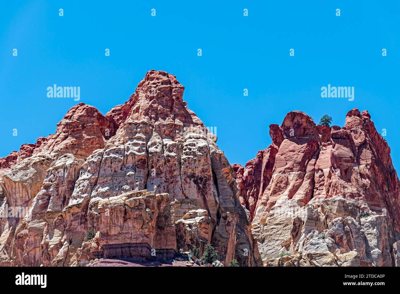 weathered rock formations on a sandstone ridge at the Grand