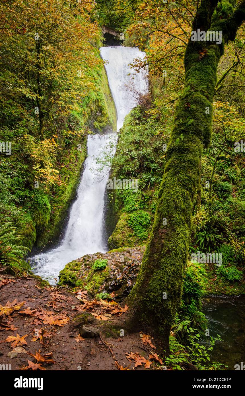 The Bridal Veil Falls at the Columbia National Scenic Area Stock