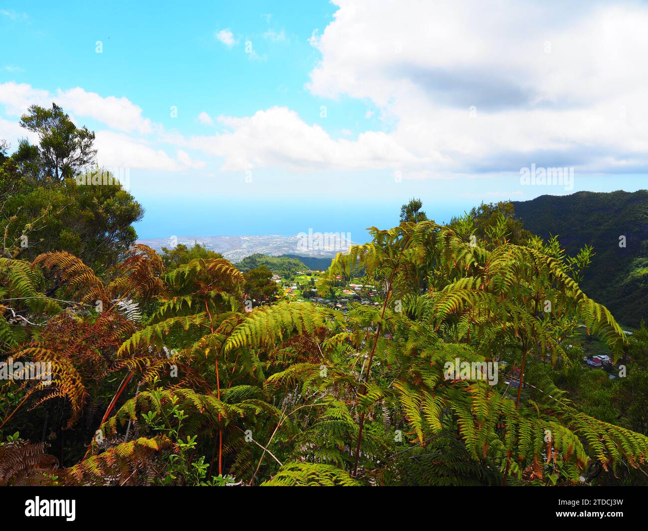 The best of Reunion Island - La Réunion, Mascarene Islands, Indian Ocean, d’Outre-Mer Stock Photo