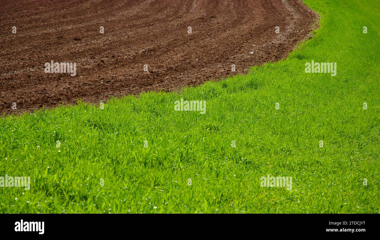 Harmony of colors in nature. Green fields, plowed land and cloudy blue sky. Green crops and field view in spring. Stock Photo