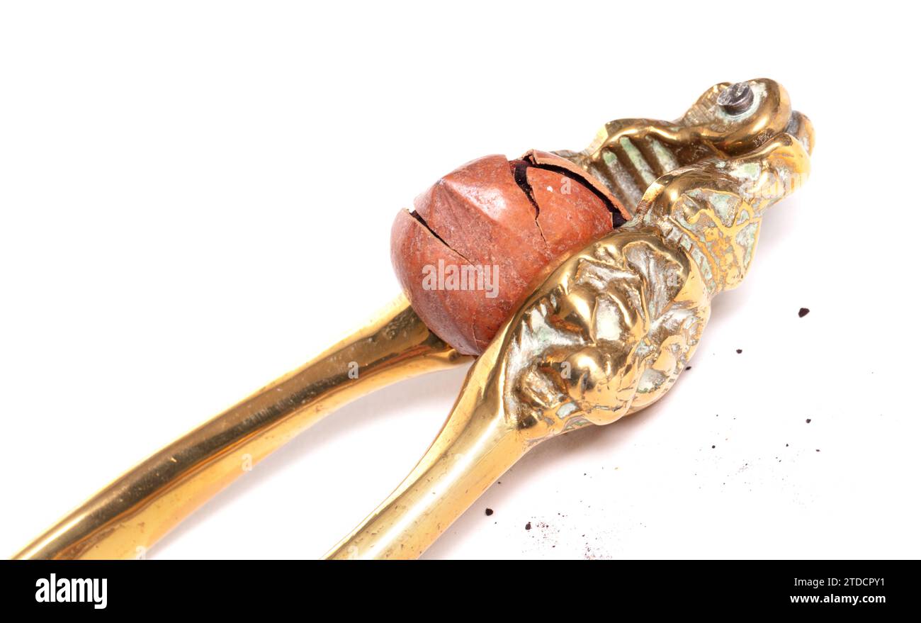 Large nut with vintage nutcracker, isolated on white Stock Photo