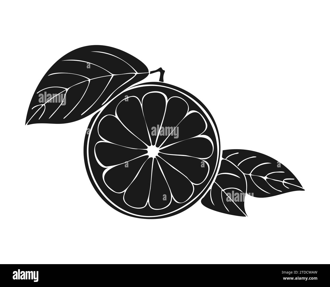 Citrus fruit silhouette dark color, lemon orange grapefruit with leaf