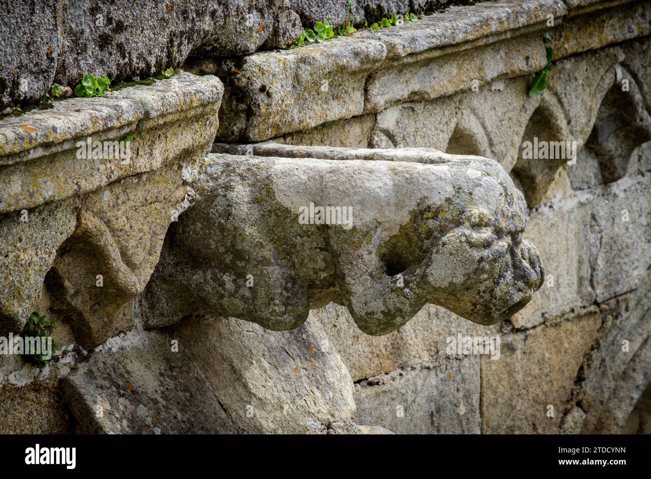 claustro, construido entre 1317 y 1340, estilo gótico, catedral de Évora,  Basílica Sé Catedral de Nossa Senhora da Assunção, Évora, Alentejo, Portuga Stock Photo