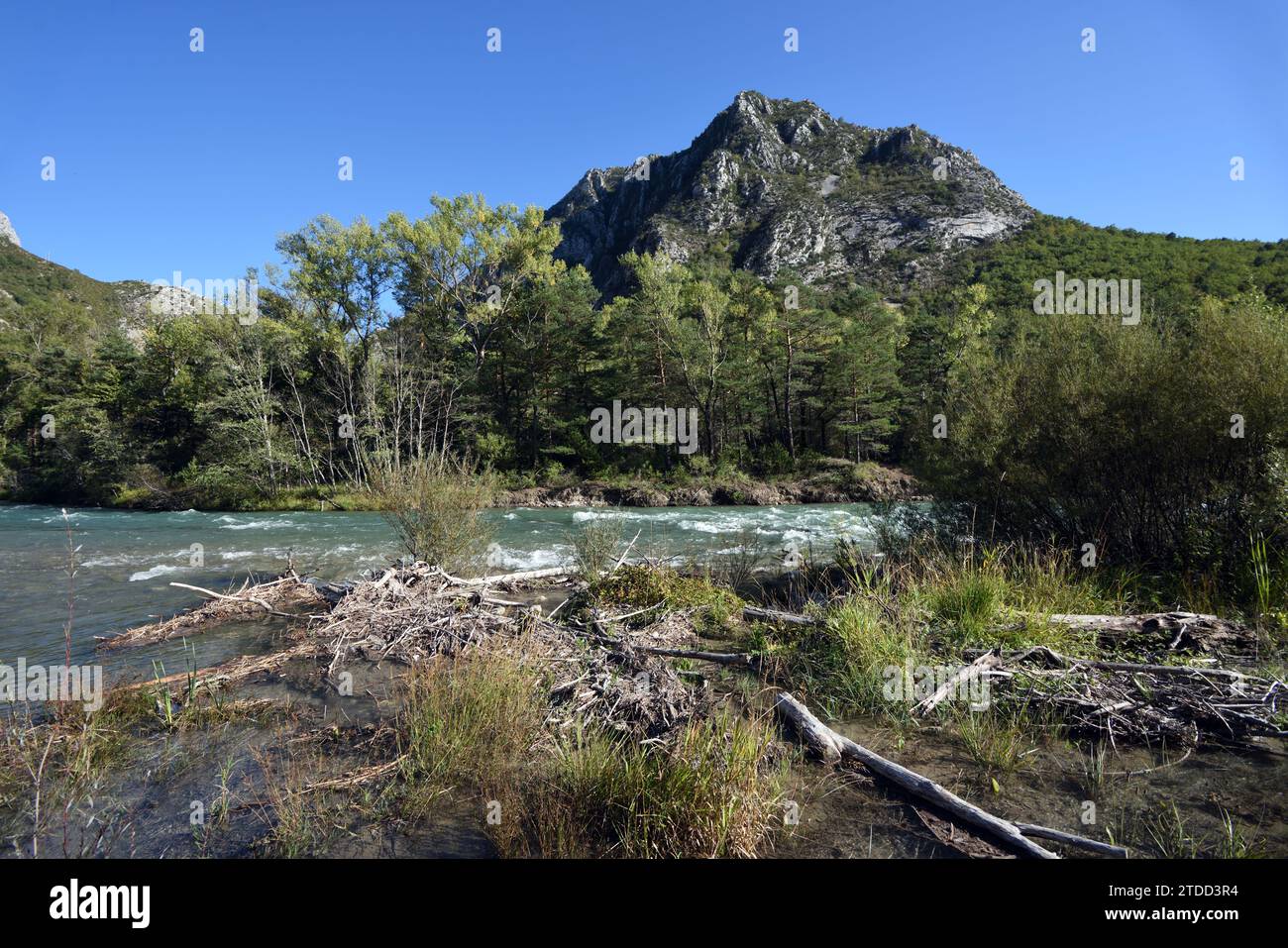 Fast Flowing River Verdon with Driftwood Logs near Chateuil in the Verdon Gorge Castellane Alpes-de-Haute-Provence France Stock Photo