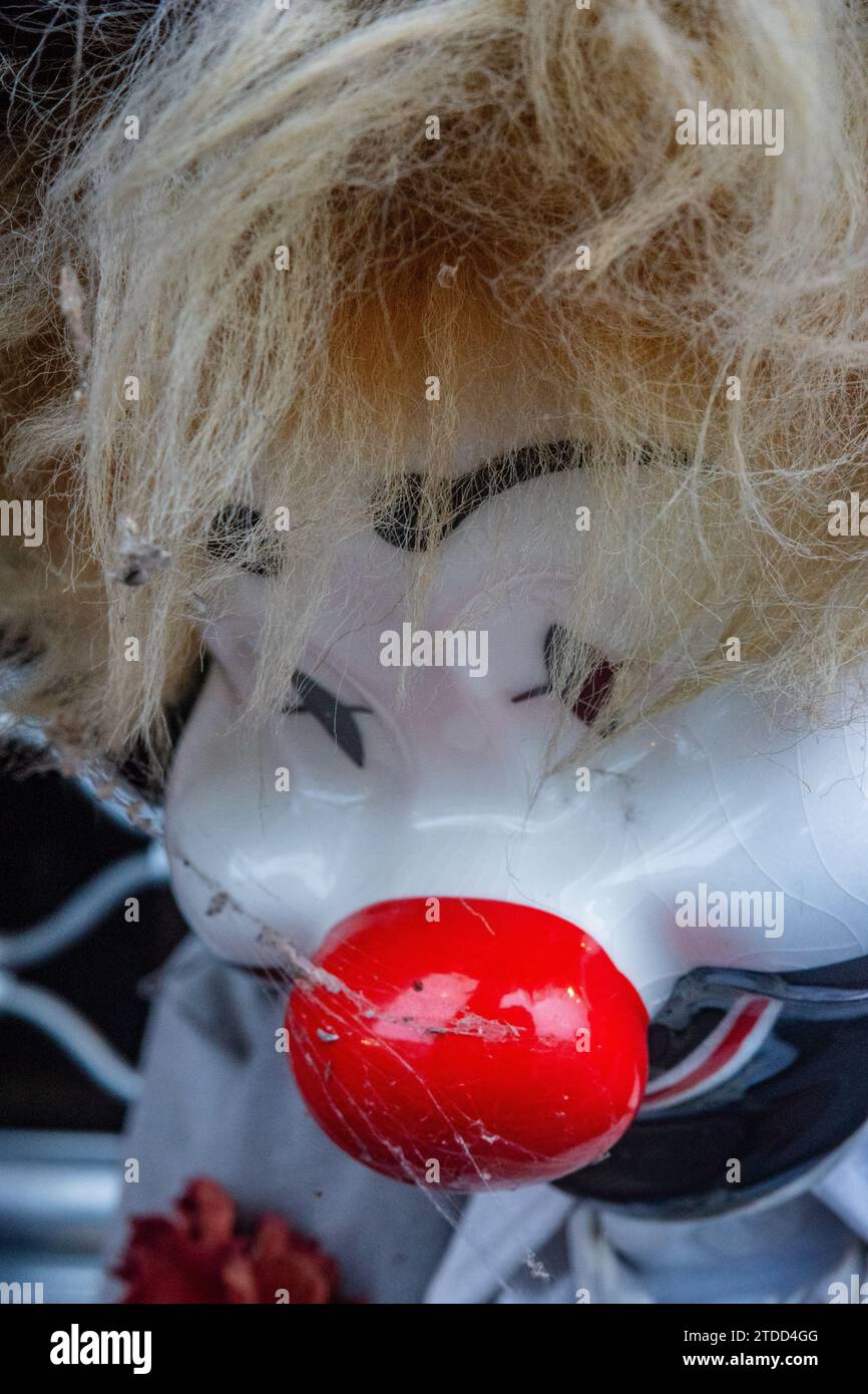 Close-up shot of a clown doll. White skin, blonde hair, red nose. Spooky, haunted, classic clown face. Stock Photo