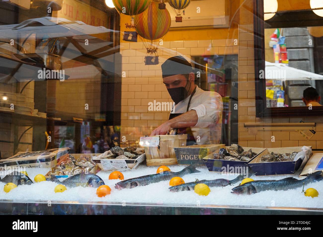 oysters-shellfish-rome-hi-res-stock-photography-and-images-alamy