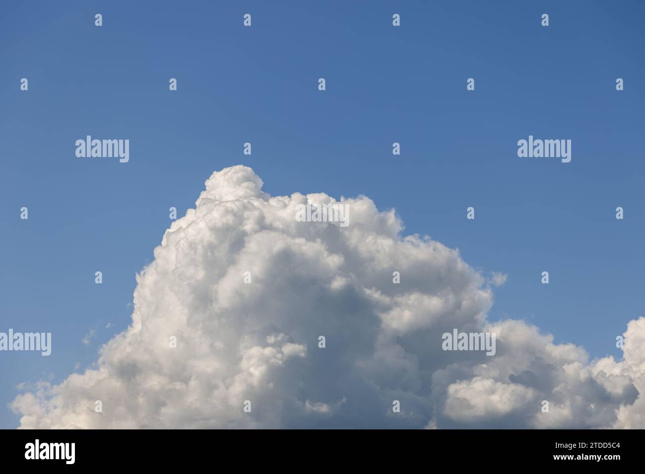 A single, massive cumulus cloud, mountain-shaped, originates from the