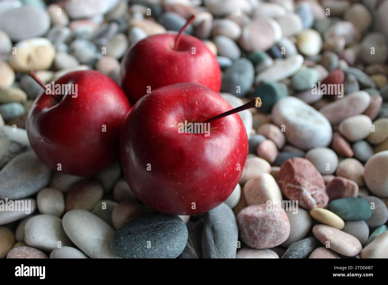 Whole apple fruits on a smooth pebbles macro shot stock photo Stock Photo