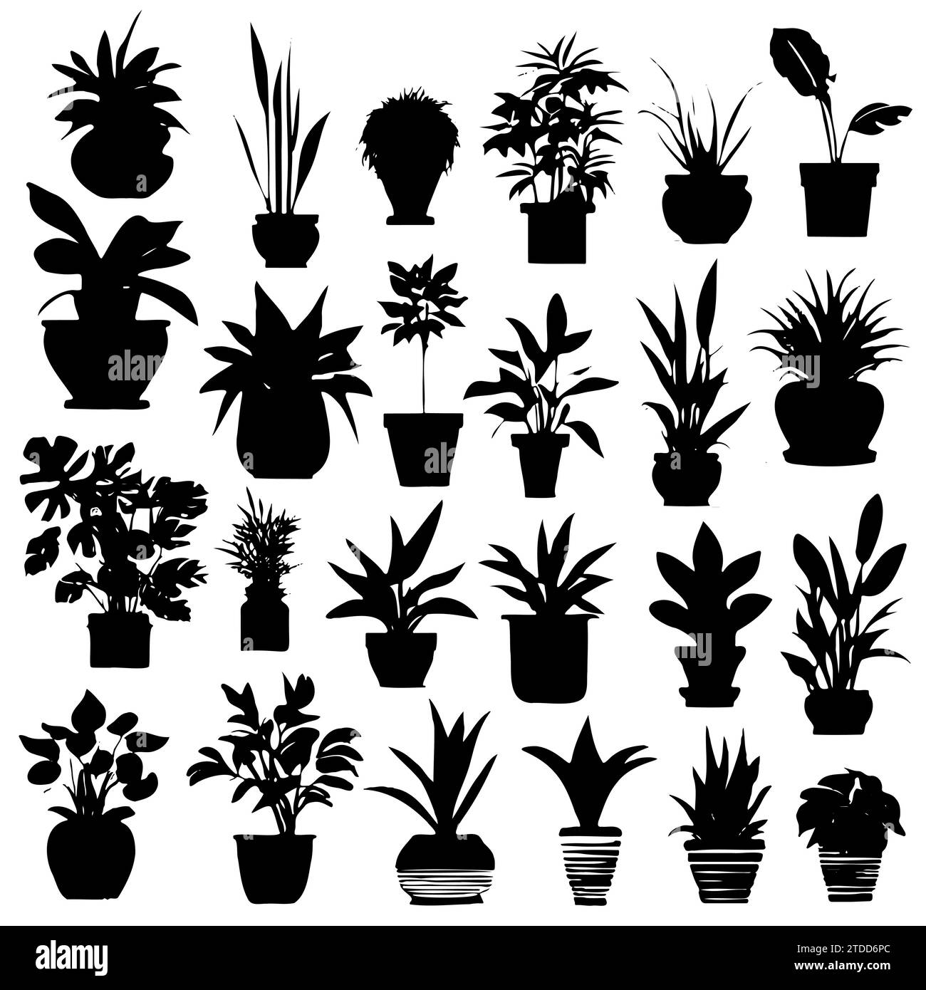 Collection silhouettes houseplants. Potted plants isolated on white