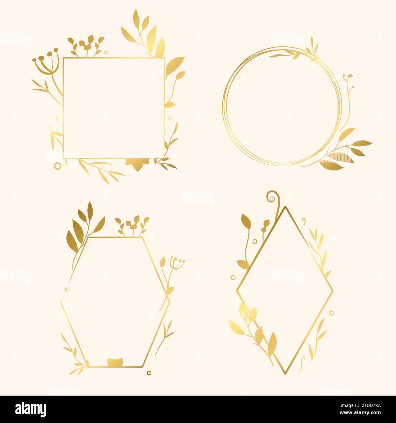 Set of gold vector hand drawn logo design elements, geometric floral ...