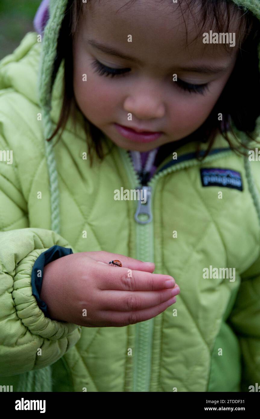 A girl watches a ladybug walk across her hand. Stock Photo