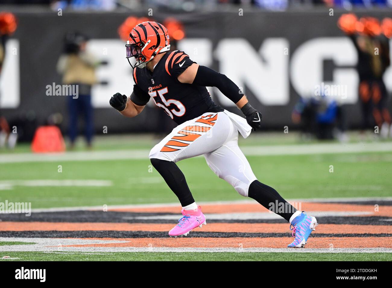 Cincinnati Bengals Linebacker Logan Wilson (55) Runs For The Play ...