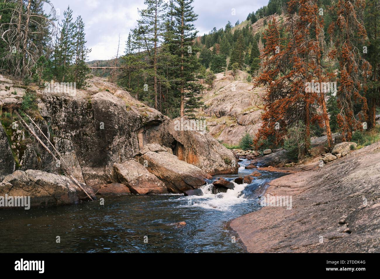 River cascades along Cross Creek, Colorado Stock Photo