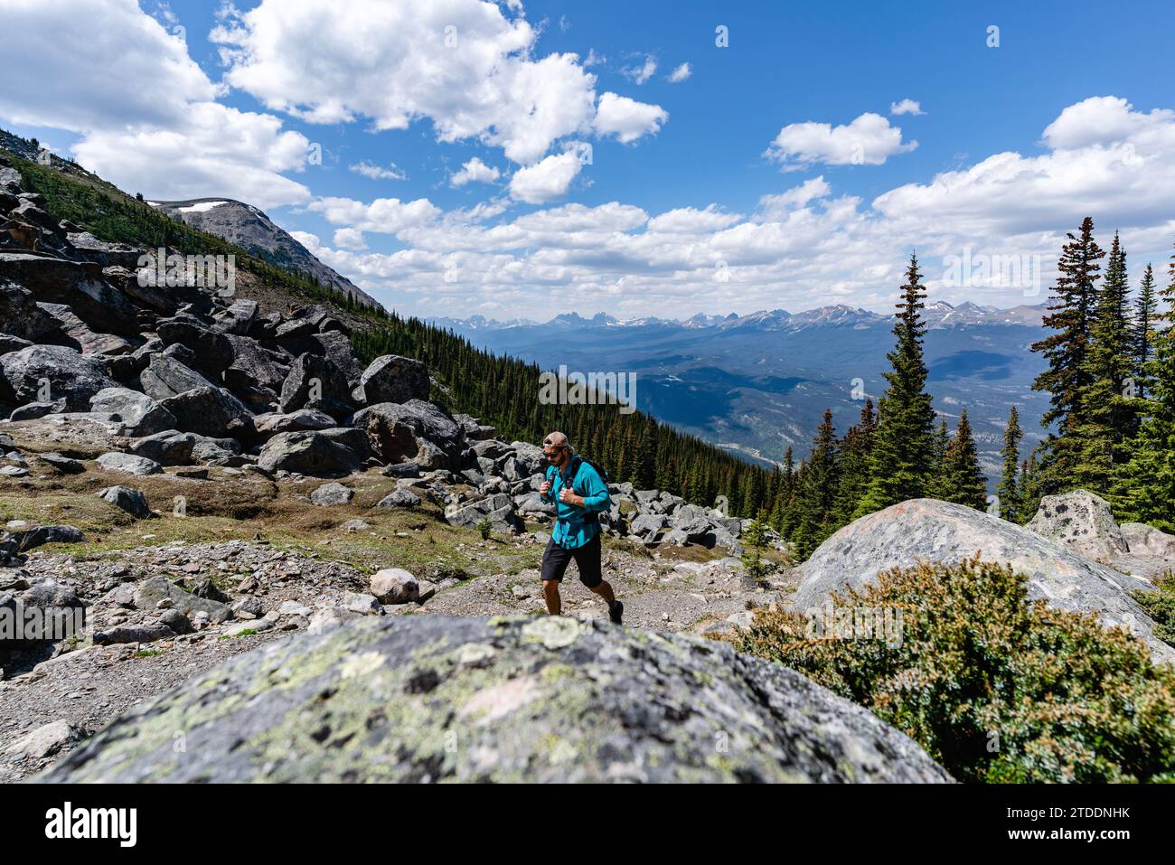 Solo Hiker On Whistlers Mountain Above Jasper Stock Photo