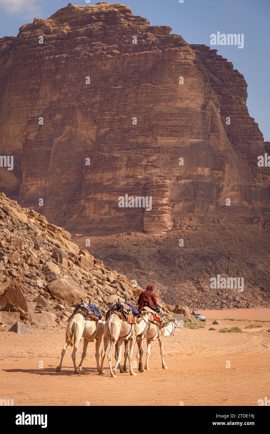 Man and camels in the desert of Wadi Rum, Jordan Stock Photo