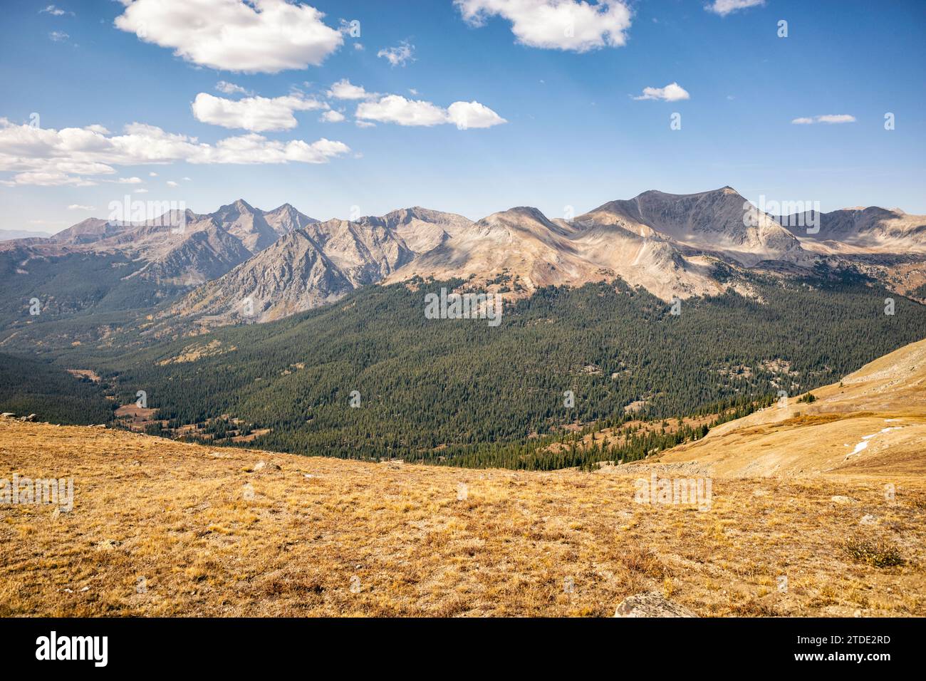 Texas Creek basin in the Collegiate Peaks Wilderness, Colorado Stock Photo