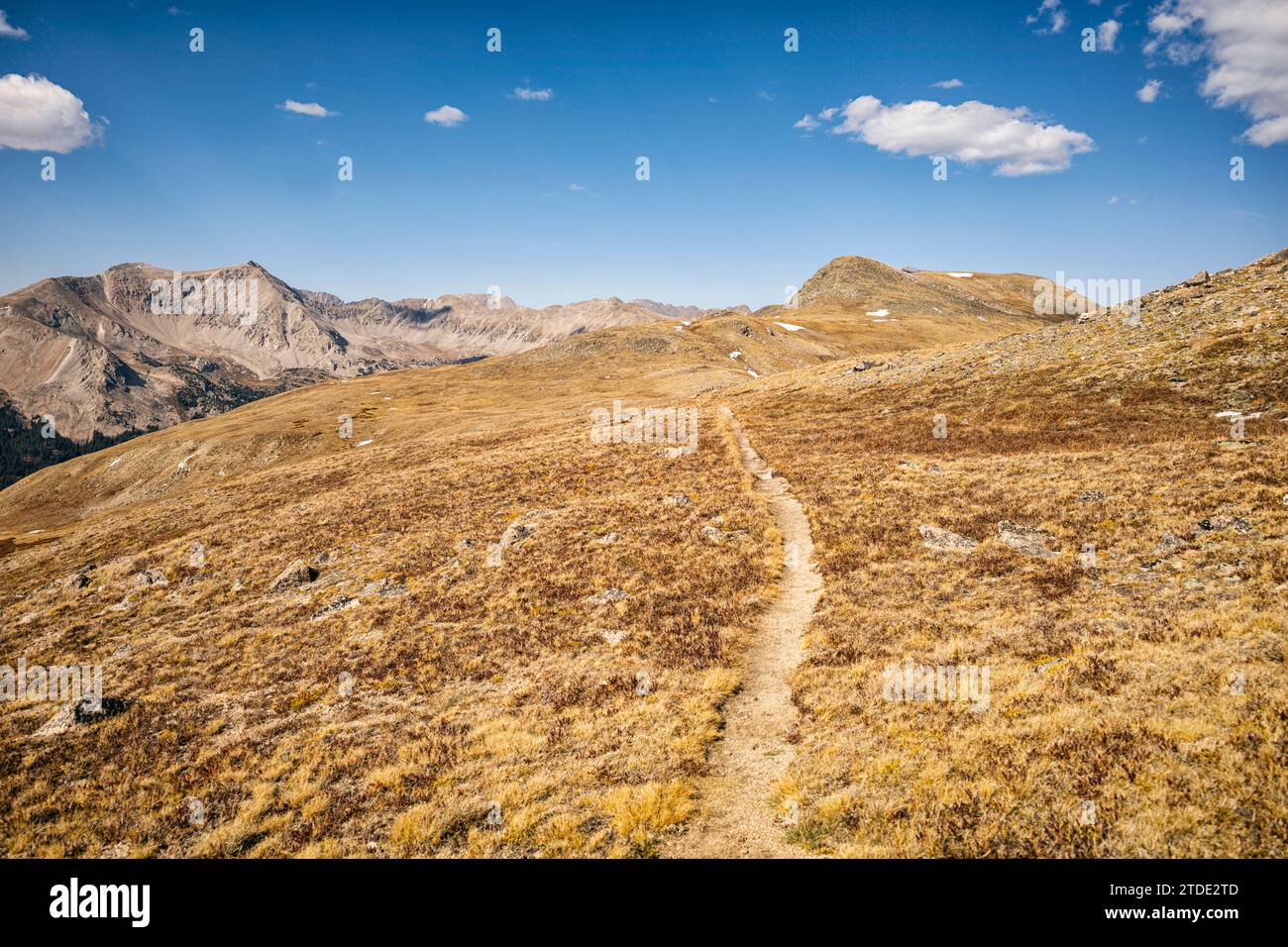 Hiking trail with Birthday Peak in the back, Colorado Stock Photo - Alamy