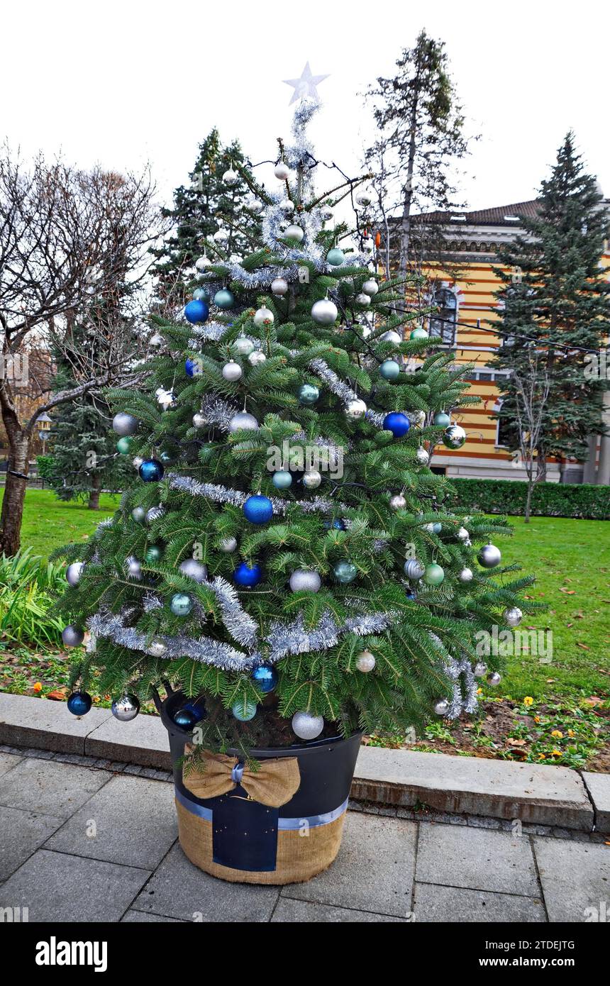 Happy New Year 2024 and xmas, with a photo of a beautiful Christmas tree on the sidewalk of a city street in  Sofia, Bulgaria Stock Photo