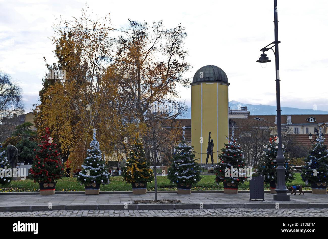 Happy New Year 2024 and xmas with a photo of beautiful Christmas trees on the sidewalk in front of the main astronomical point Stock Photo