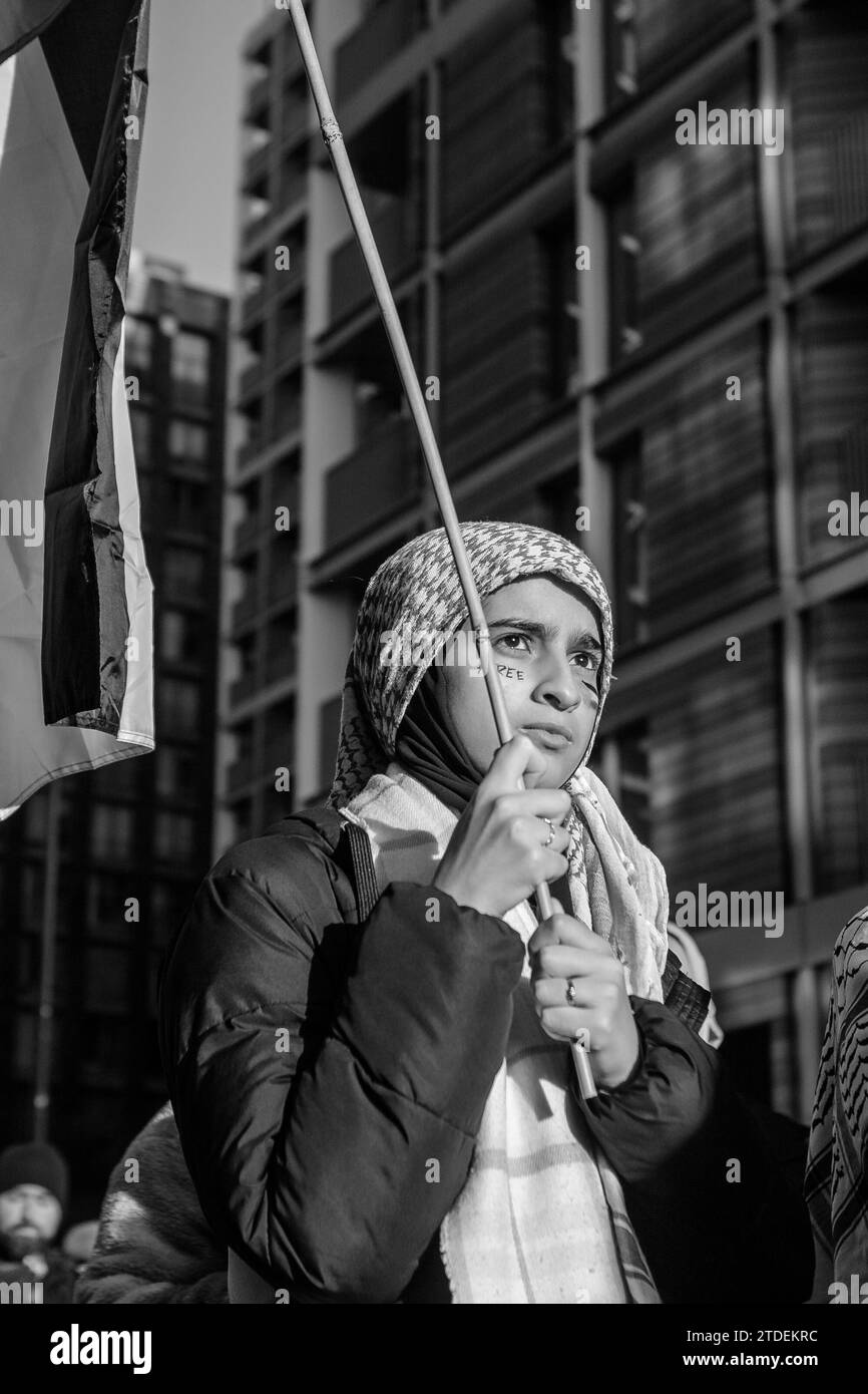 Pro-Palestine demonstration in London / UK Stock Photo - Alamy