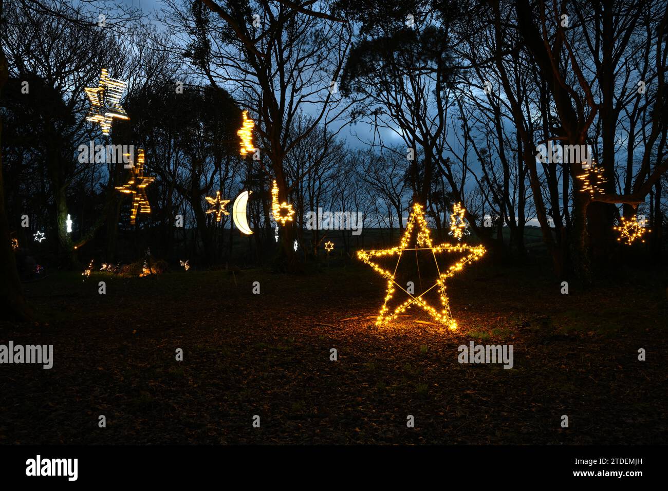 HELIGAN CHRISTMAS LIGHTS HELIGAN NIGHT GARDEN LOST GARDENS OF HELIGAN