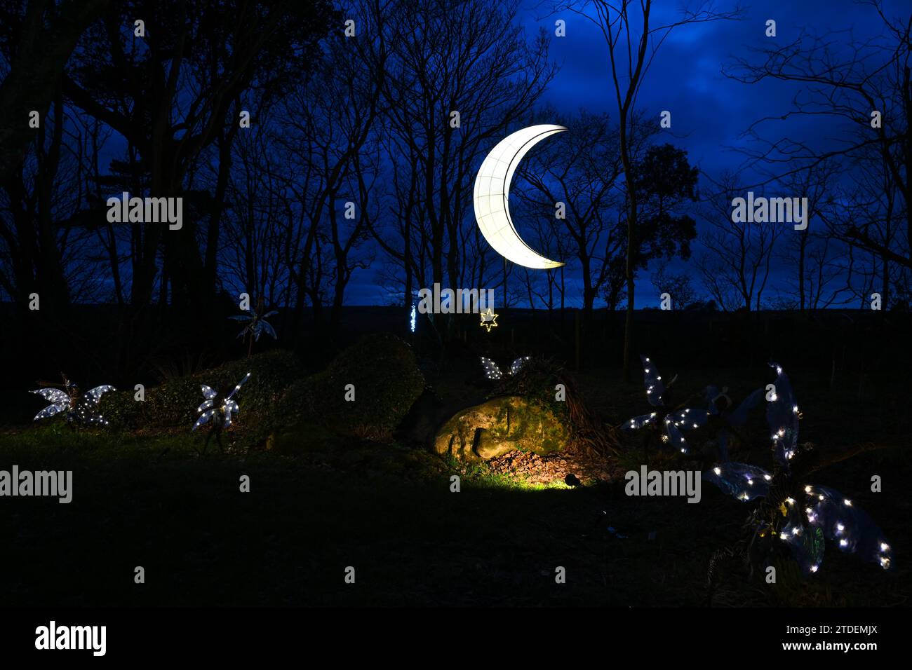 Heligan gardens christmas lunches