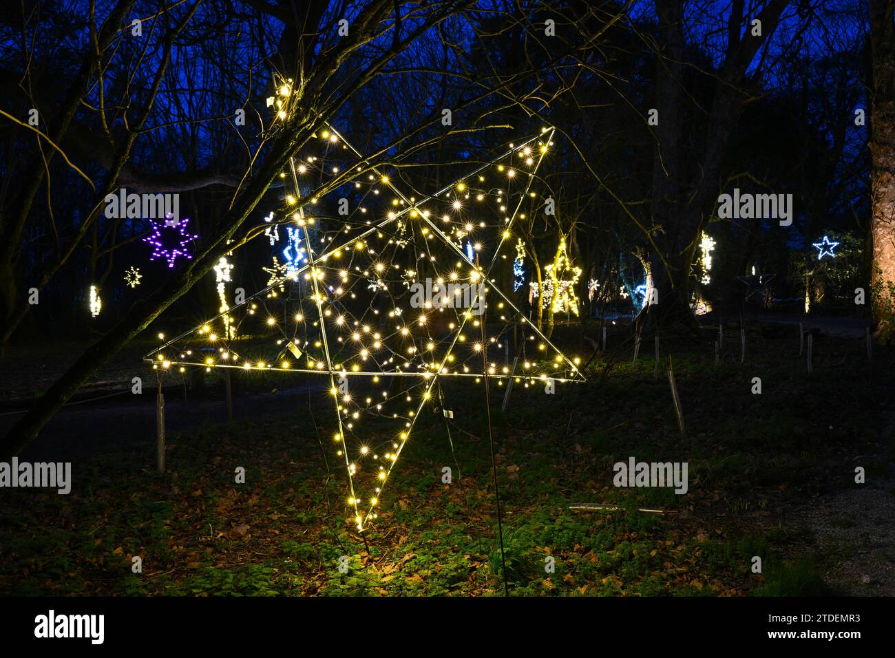 Heligan gardens christmas lunches