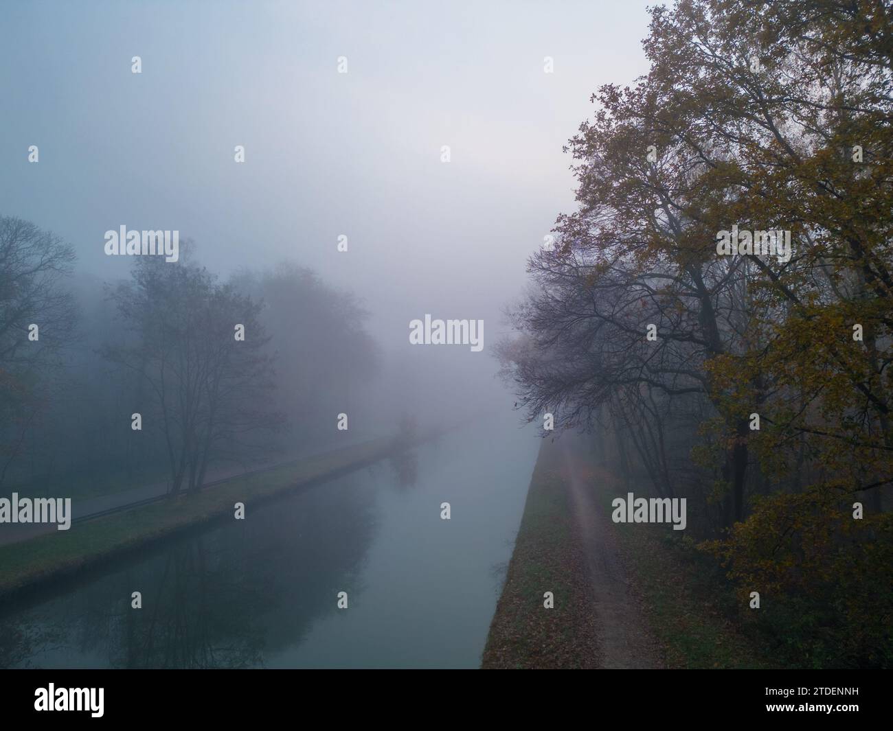 This image is steeped in the quietude of dawn, with a canal path disappearing into a thick fog. The water is a mirror-like calm, reflecting the subdued light and the silhouettes of trees lining the bank. The trees are in a state of transition with leaves in various shades of autumn, hinting at the season. The path, partially hidden by the mist, invites contemplation. The soft diffusion of light creates a monochromatic palette, punctuated by the warmer tones of the leaves. Fog-Enshrouded Canal Path at Dawn. High quality photo Stock Photo