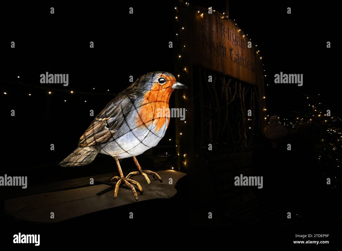 Heligan gardens christmas lunches