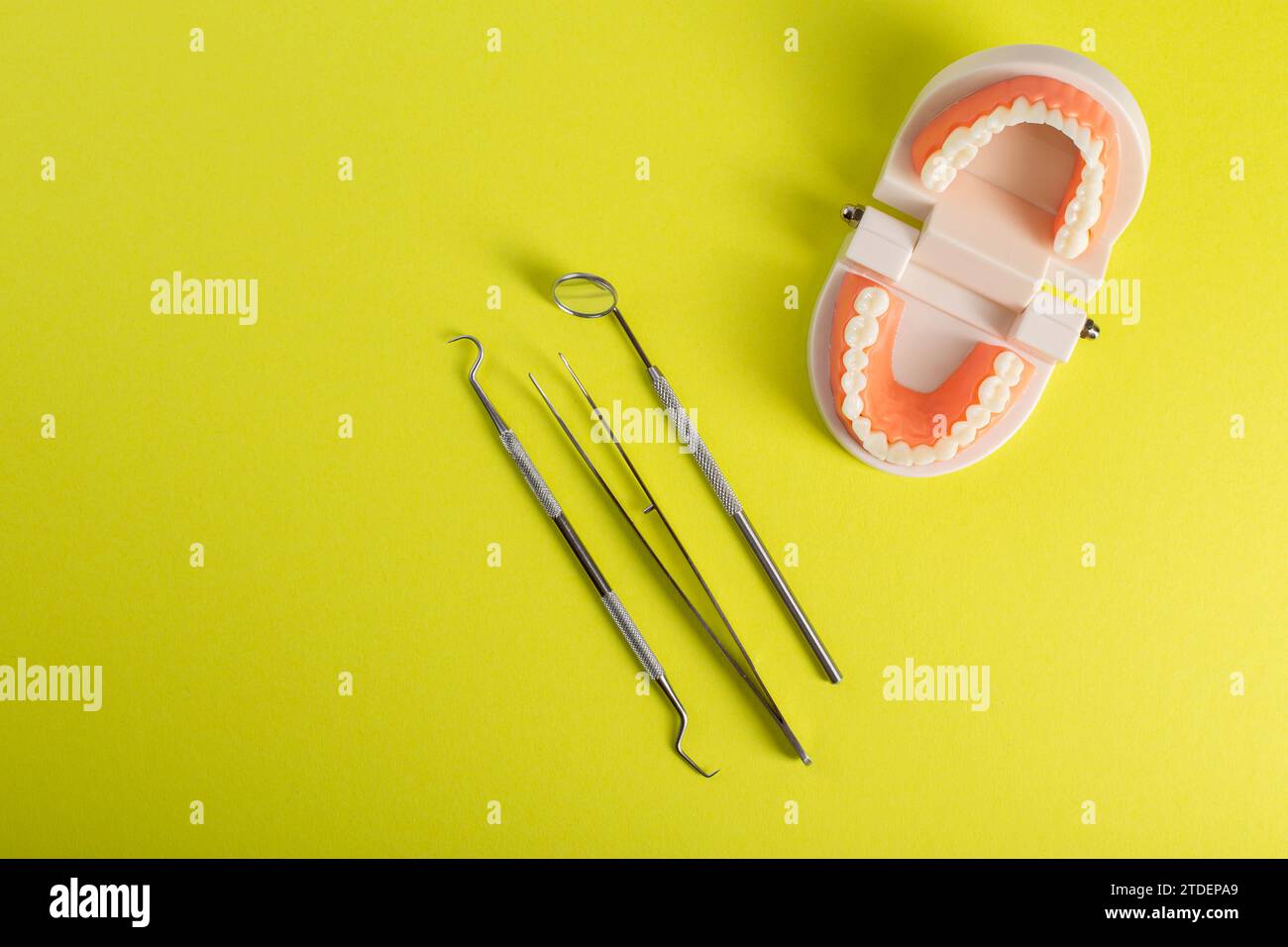 dental instrument on a yellow background near a dental jaw mockup. The