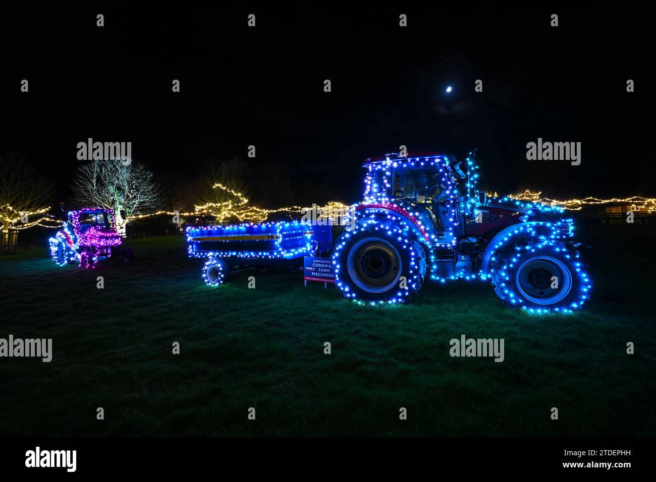 HELIGAN CHRISTMAS LIGHTS HELIGAN NIGHT GARDEN LOST GARDENS OF HELIGAN