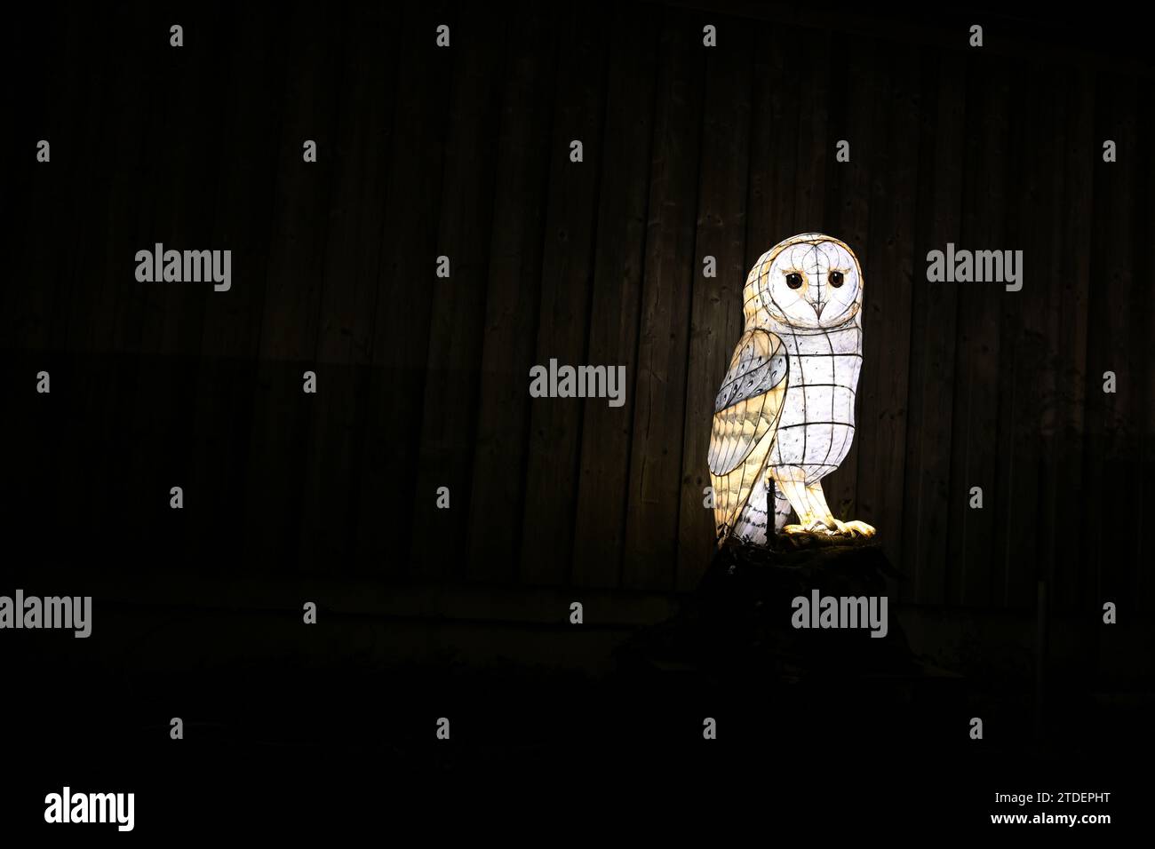 Heligan gardens christmas lunches