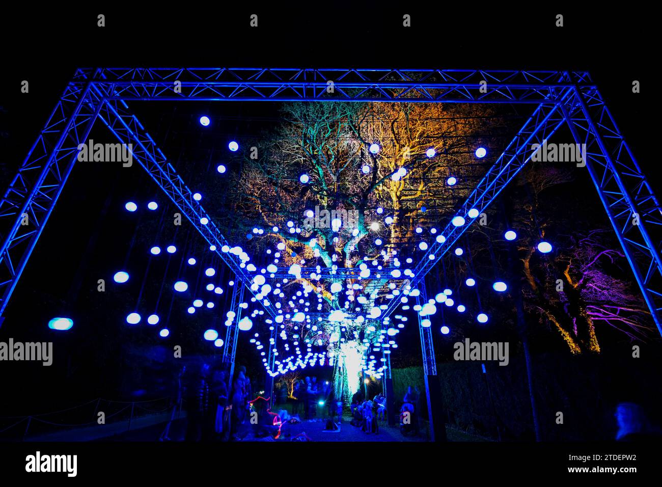 HELIGAN CHRISTMAS LIGHTS HELIGAN NIGHT GARDEN LOST GARDENS OF HELIGAN