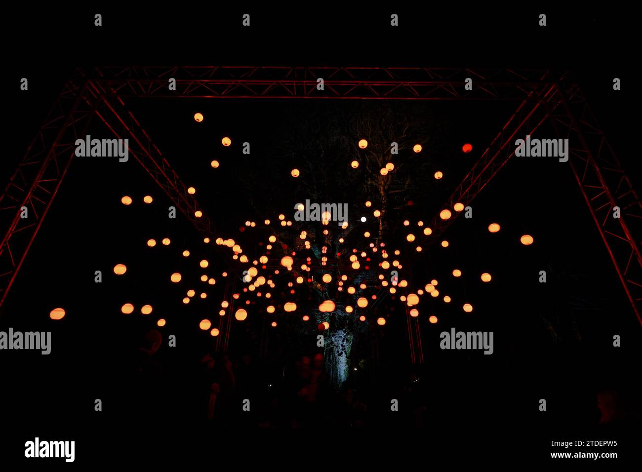 Heligan gardens christmas lunches