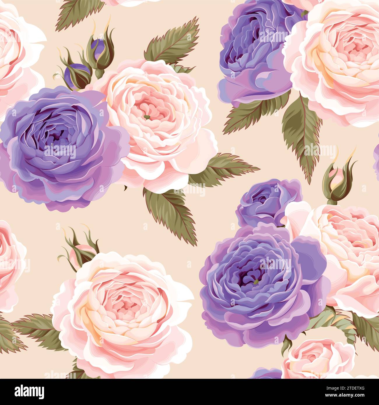 English roses seamless Stock Vector Image & Art Alamy