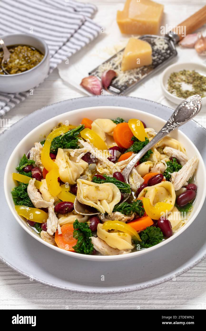 chicken minestrone soup with tortelloni and red kidney beans, kale and yellow bell pepper in